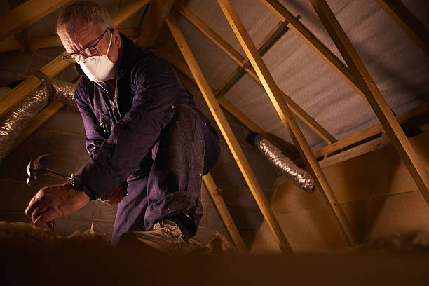 Best DIY Insulation Kits and Guidance in Frenchtown, NJ